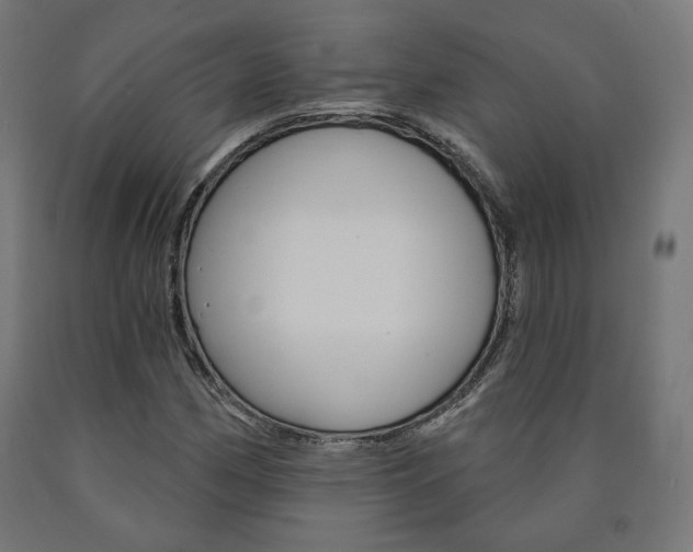 X0000090981162200708021135