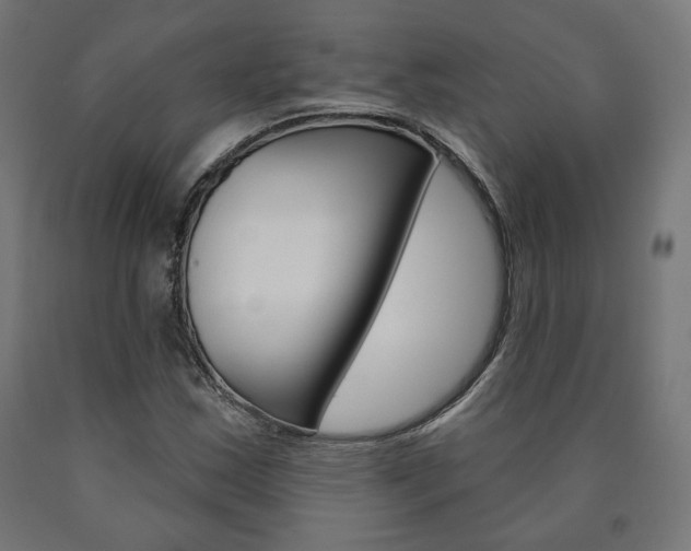 X0000090981163200708021135