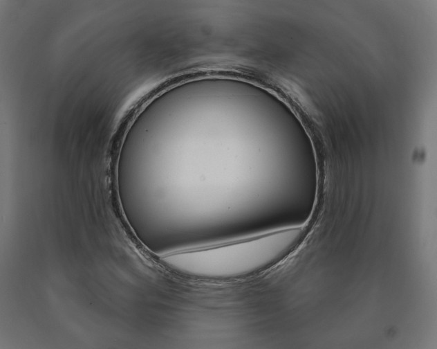 X0000090981164200708021135