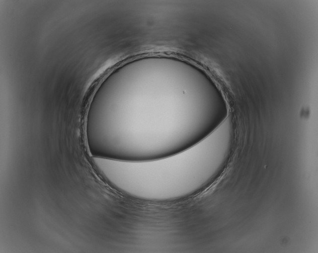 X0000090981165200708021135