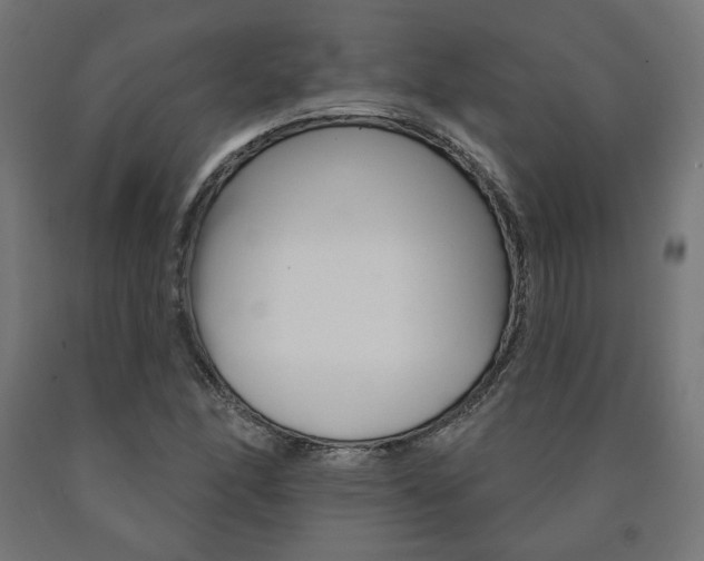 X0000090981166200708021135