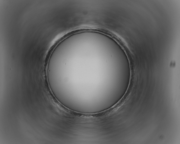 X0000090981168200708021135