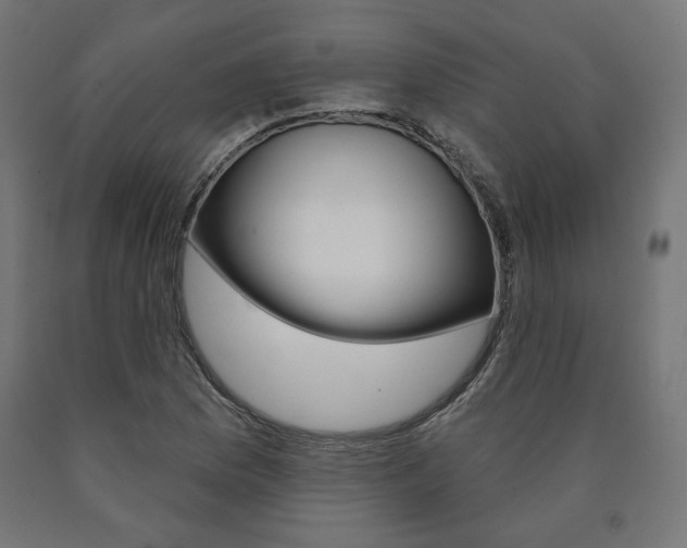 X0000090981169200708021135