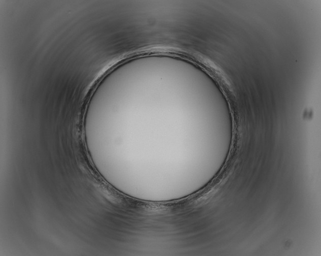 X0000090981170200708021135