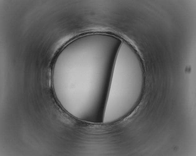 X0000090981171200708021135