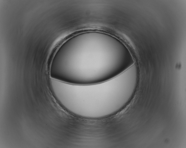 X0000090981172200708021135