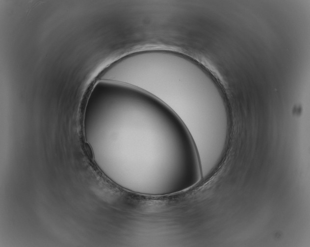 X0000090981173200708021135