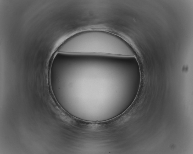 X0000090981176200708021135