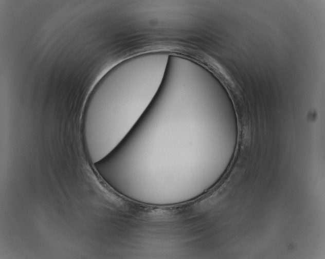 X0000090981178200708021135