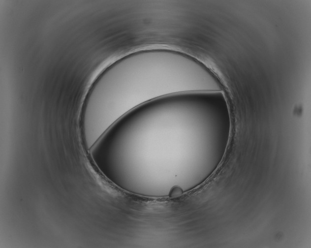 X0000090981181200708021135