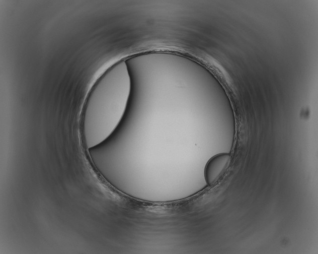 X0000090981182200708021135
