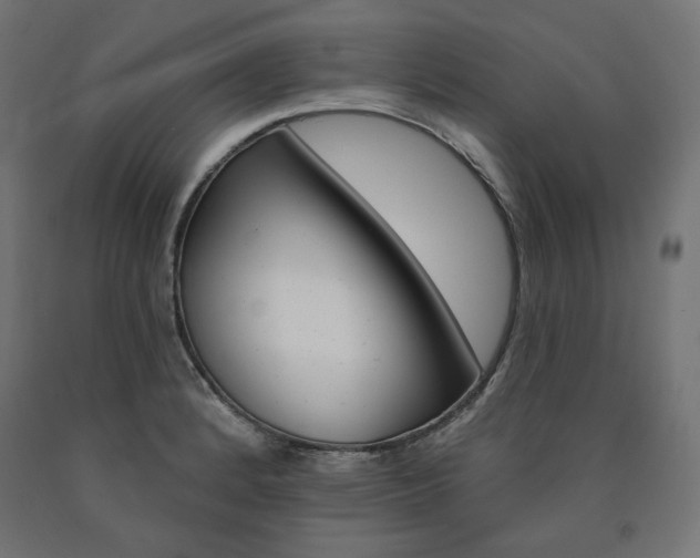 X0000090981184200708021135