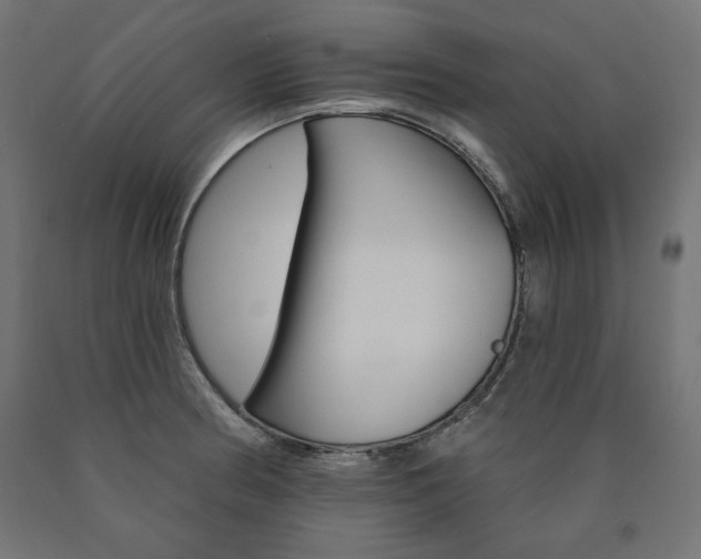 X0000090981186200708021135