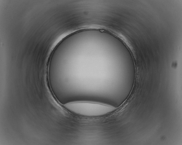 X0000090981187200708021135