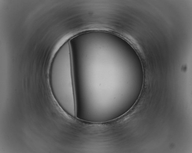 X0000090981188200708021135