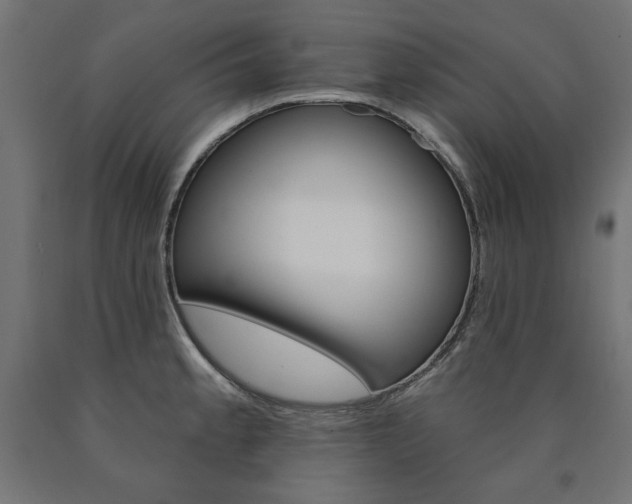 X0000090981189200708021135