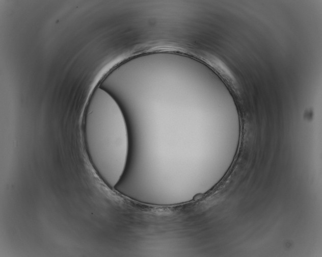 X0000090981190200708021135