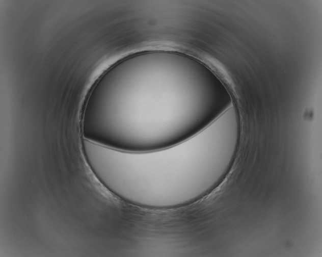 X0000090981192200708021135