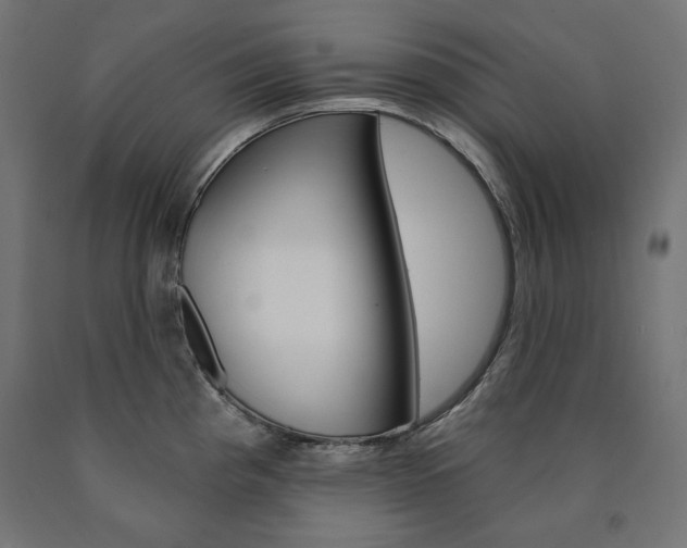 X0000090981193200708021135