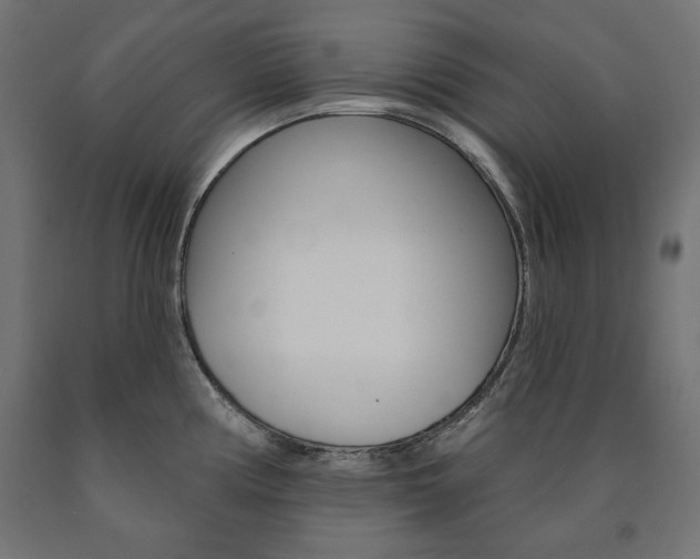 X0000090981194200708021135