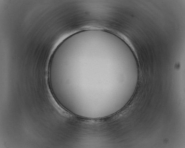 X0000090981195200708021135