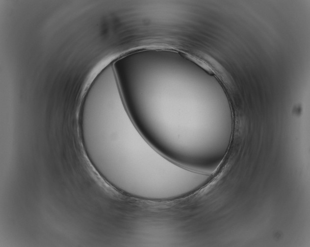 X0000090981196200708021135