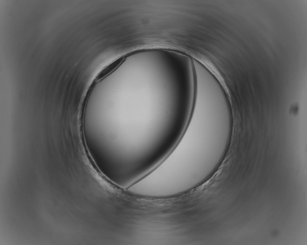 X0000090981197200708021135