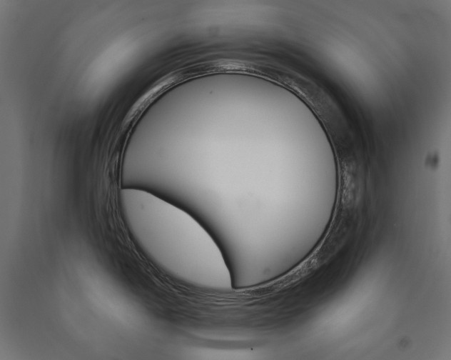 X0000090981198200708021135