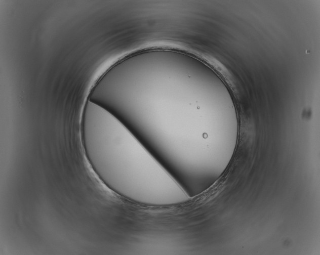 X0000090981199200708021135