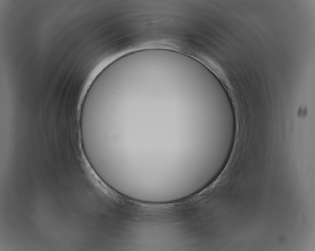 X0000090981200200708021135