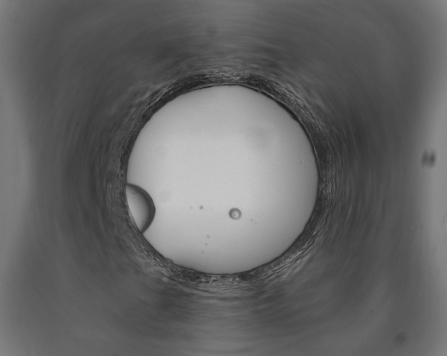 X0000090981201200708021134