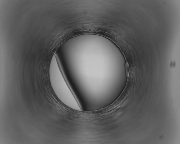 X0000090981202200708021134