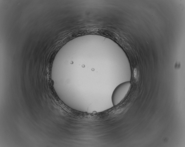 X0000090981203200708021134