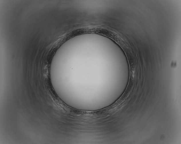 X0000090981204200708021134