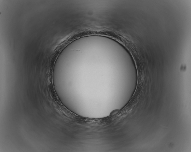 X0000090981205200708021134