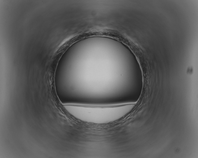 X0000090981206200708021134