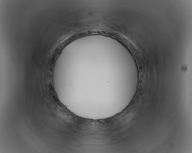 X0000090981207200708021134