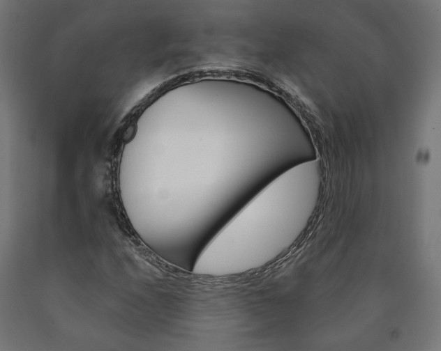X0000090981208200708021134