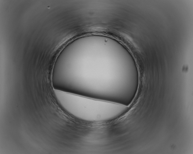 X0000090981209200708021134