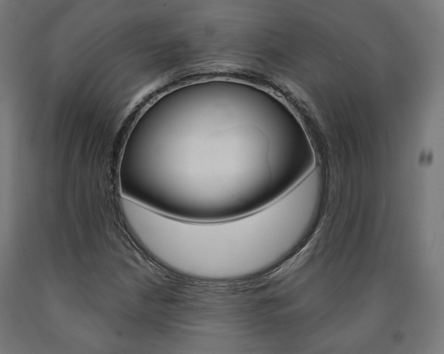 X0000090981210200708021134