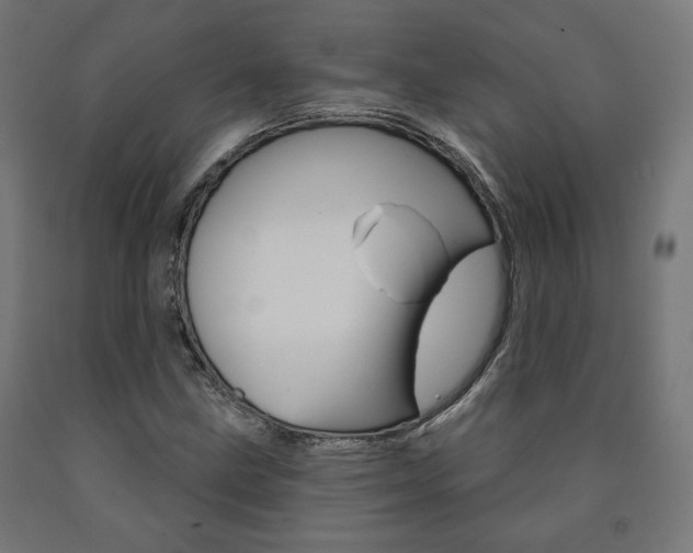 X0000090981211200708021134