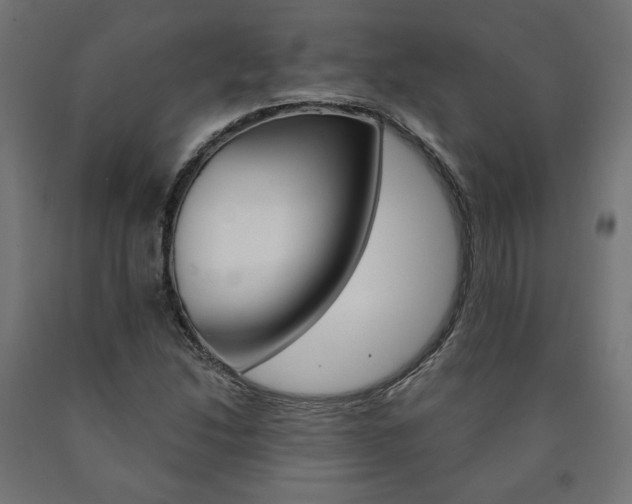 X0000090981214200708021134