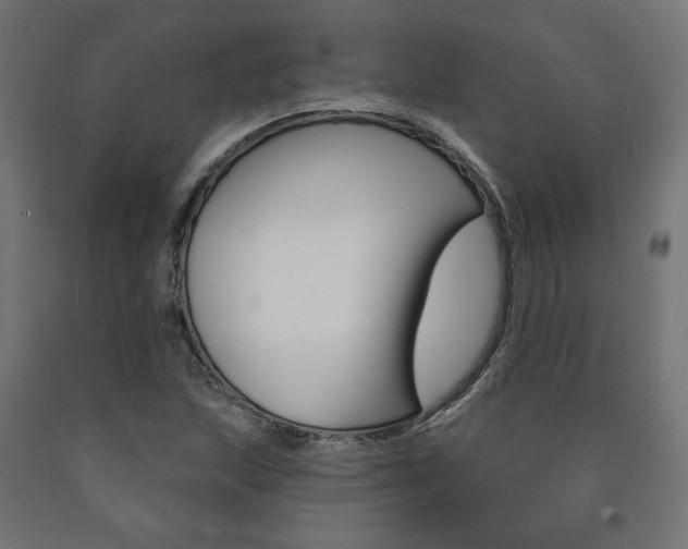 X0000090981215200708021134