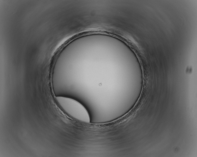 X0000090981216200708021134