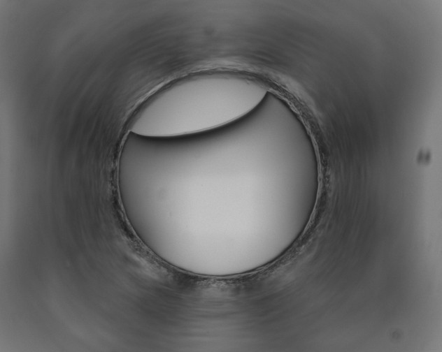X0000090981217200708021134