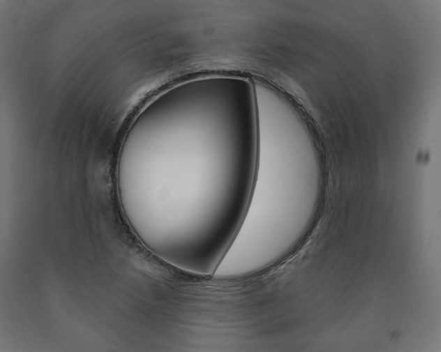 X0000090981218200708021134