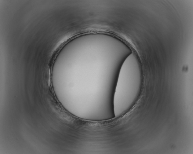 X0000090981219200708021134