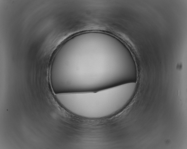 X0000090981220200708021134