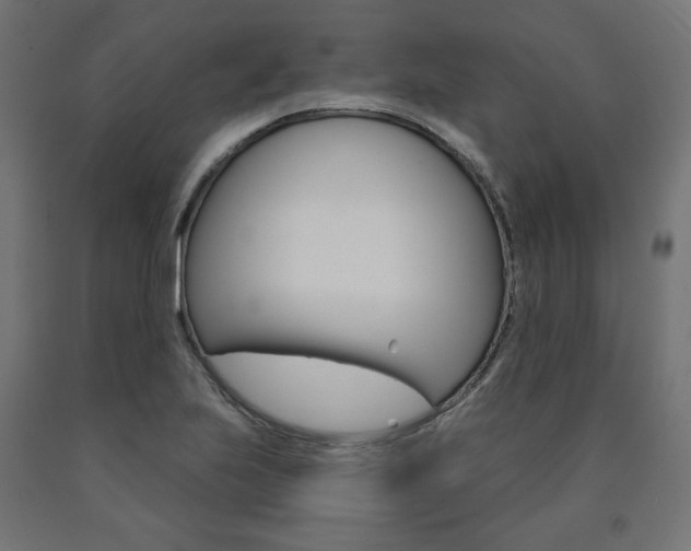X0000090981223200708021134