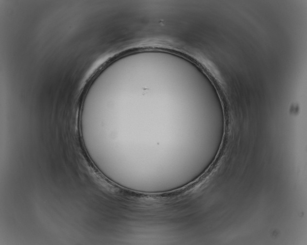 X0000090981224200708021134